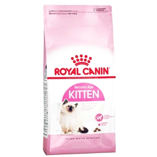 royal canin untuk kitten