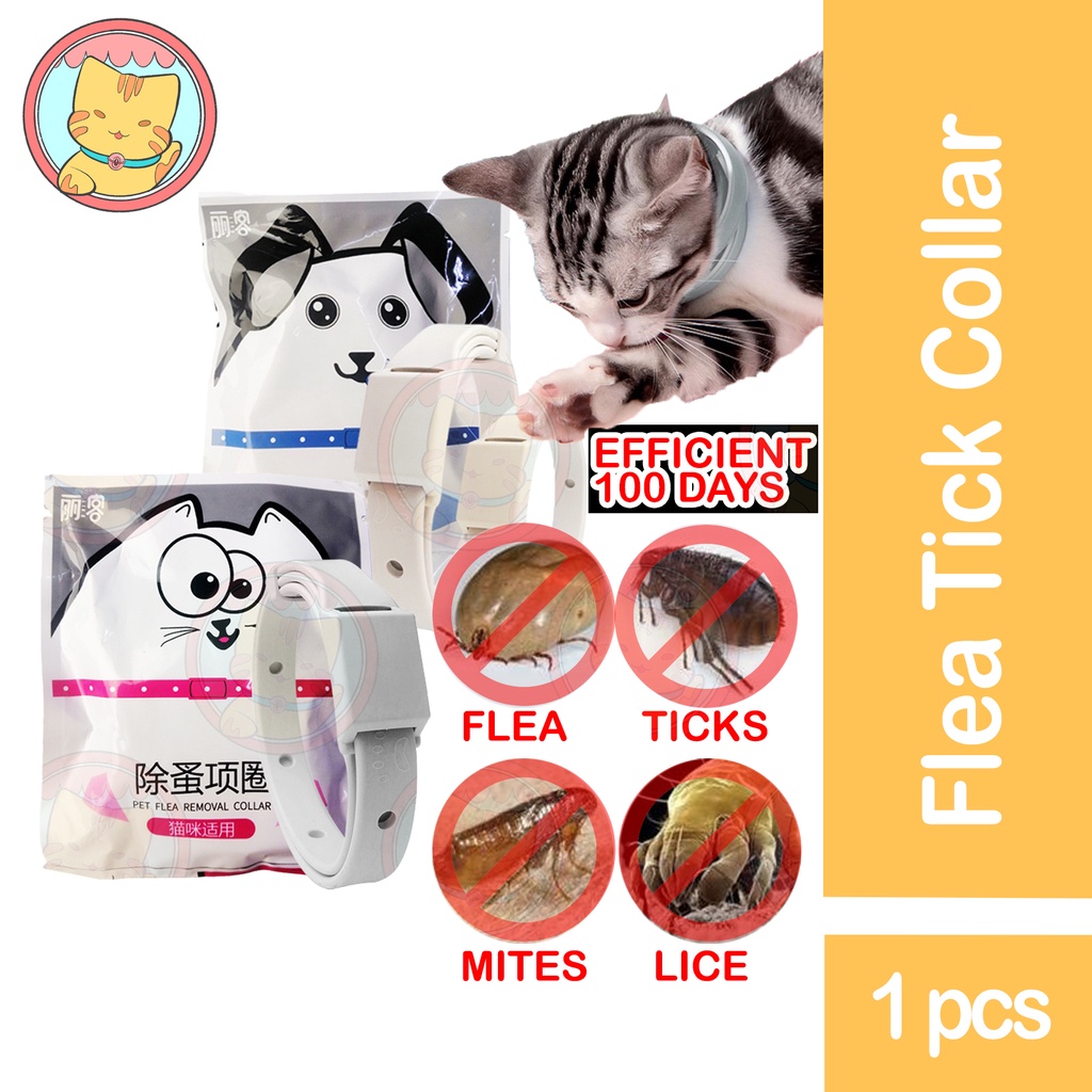 【BESTPRICE】Flea Tick Collar For Cat Dogs Cats Collar Pet Adj.. Anti