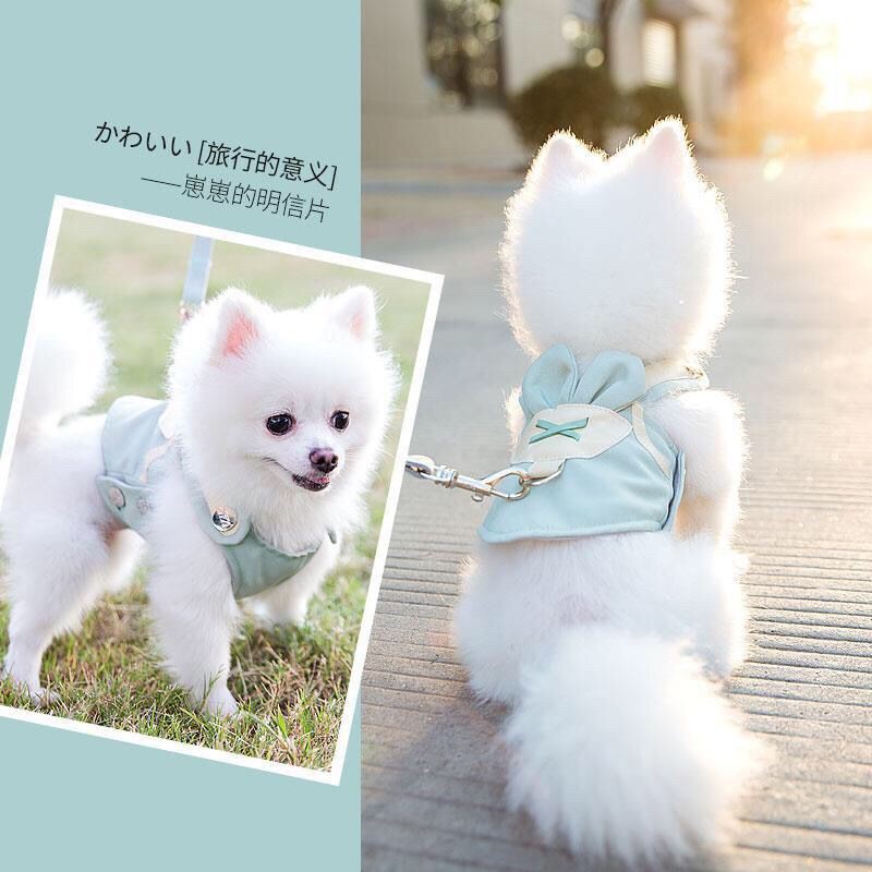 宠物牵引绳 狗狗牵引绳狗链子背心式胸背带遛狗绳子小型犬中型犬泰迪宠物用品 Shopee Malaysia