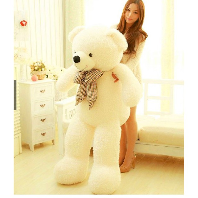 big and cute teddy bear