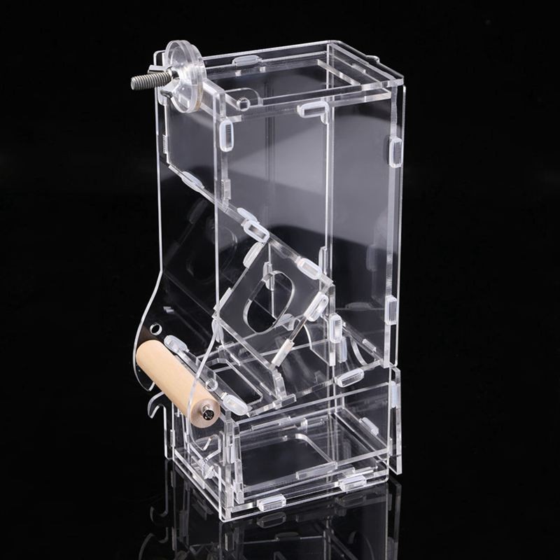 Bird Cage Feeder Food Container Feeding Automatic Bird Feeder Pet