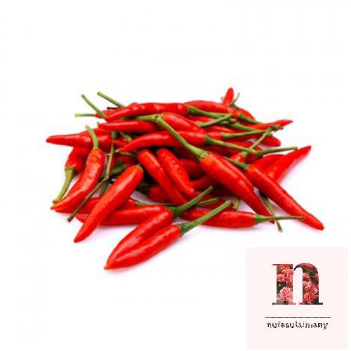 Cili Api Merah Red Chilli Padi 100g [klang Valley Only] Vegetables