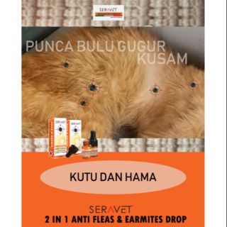 Ubat batuk kucing 100ml  Shopee Malaysia