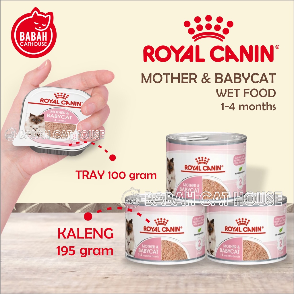 rc-mother-and-baby-cat-cannel-tray-royal-canin-wet-cat-food-for