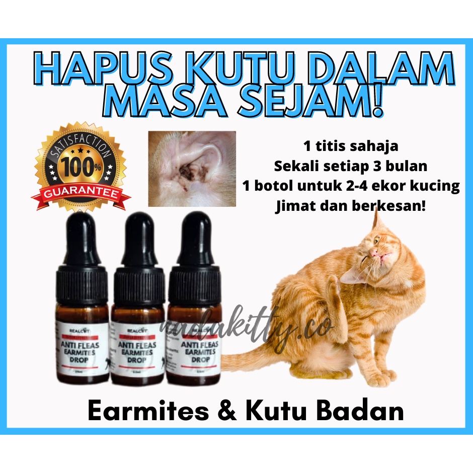 Ubat Kutu Kucing Earmites Cat 1 Botol Untuk 4 8 Ekor Kucing Shopee Malaysia