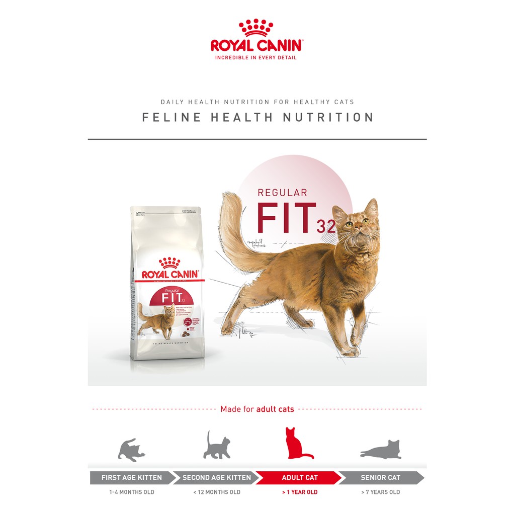 Royal Canin Fit 32 Repack 500gr Good For Urinary Tract Mencegah