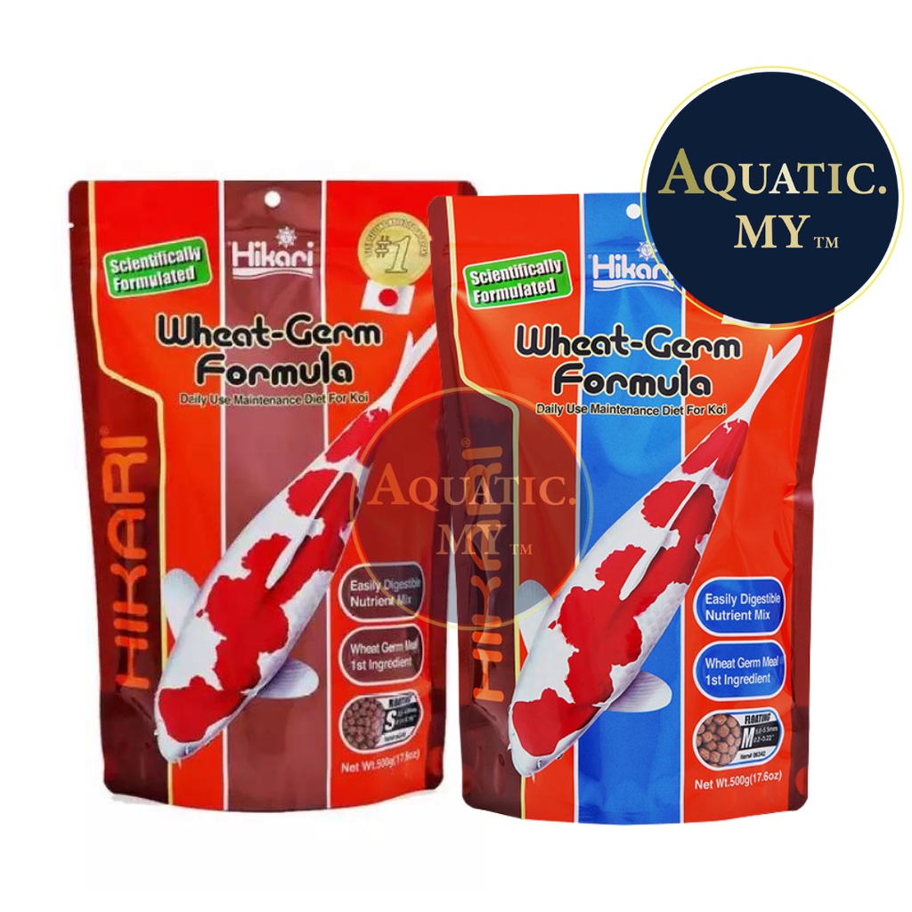 Hikari Wheat Germ Formula (500g) Koi Pellet (Expired 01/2024) For