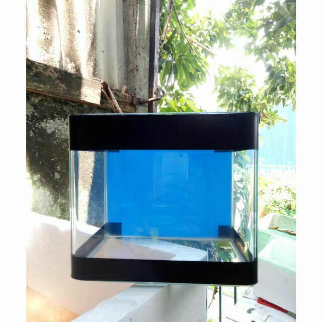 Potong Harga Aquarium Kaca Tebal Murah Shopee Malaysia