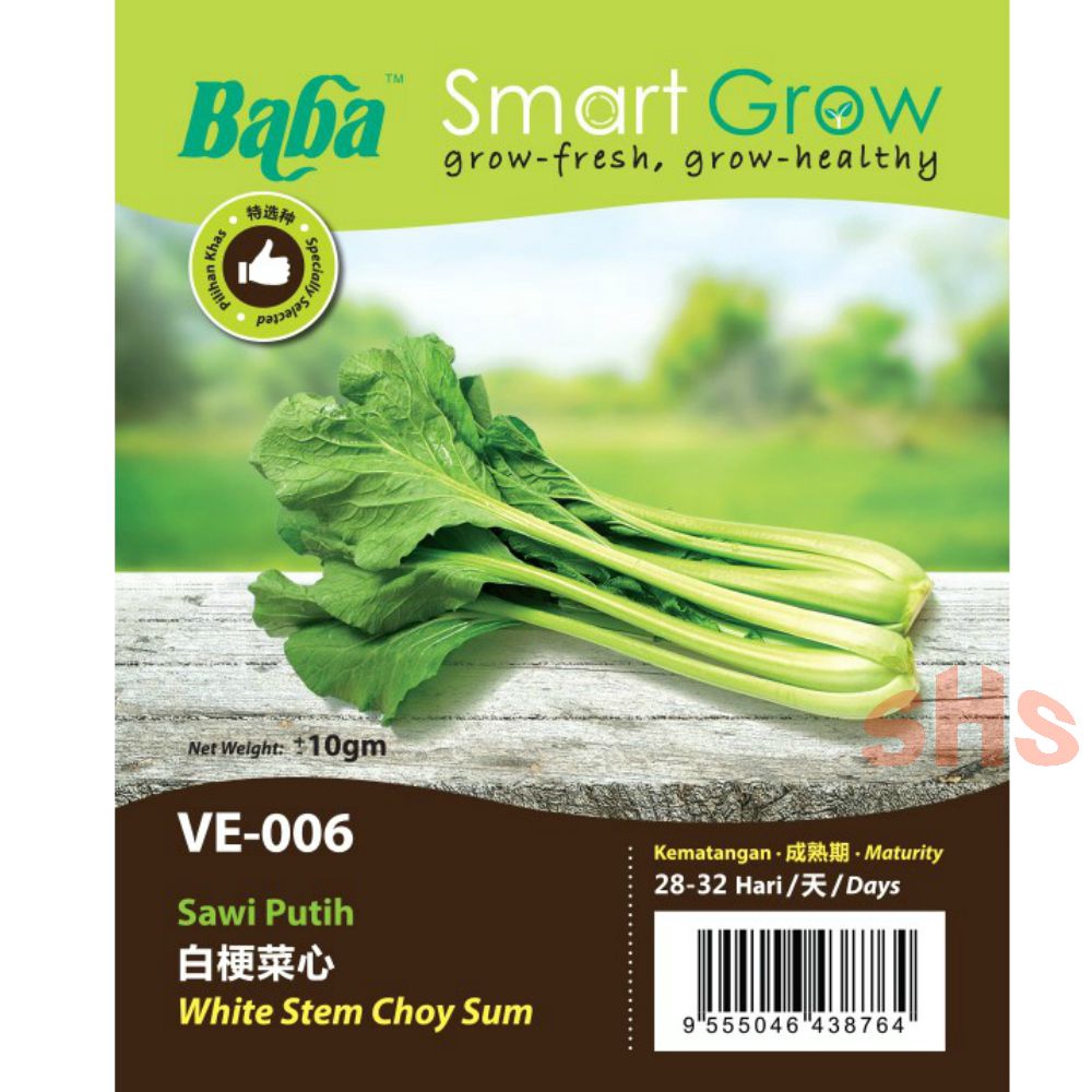 Baba Sawi Seeds Japanese Sawi (Komatsuna) White Stem Choy Sum Hong 