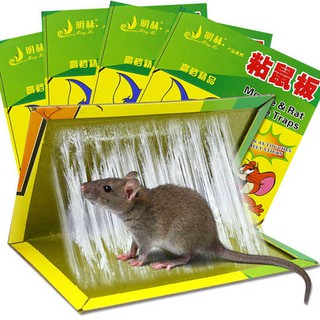 **buy 3 Free 1 Sticky Rat Trap Mouse Trap Papan Pelekat Tikus (1pc Pack 