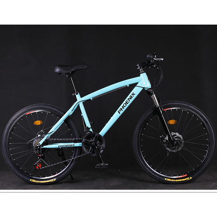 silverback phoenix mountain bike