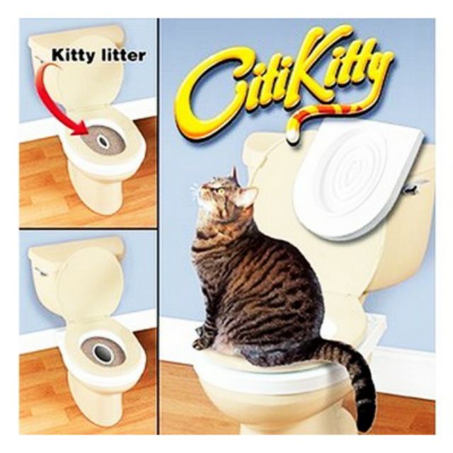 How to teach my cat to use hotsell the toilet