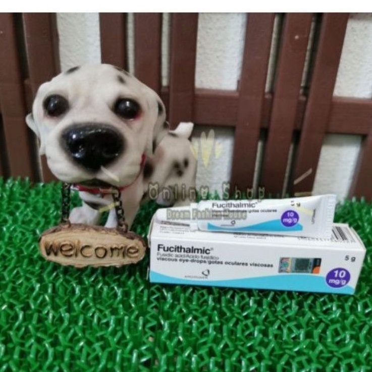 (READY STOCK)Viscous Eye Drop fucithalmic 5g Shopee Malaysia