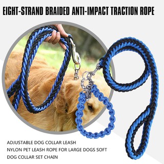 large dog leash