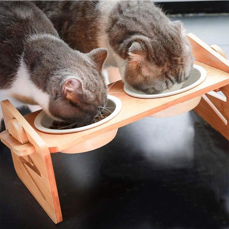 Cat / Dog Food Bowl Wooden Bowl Dish (Spine Protection) | Shopee Malaysia