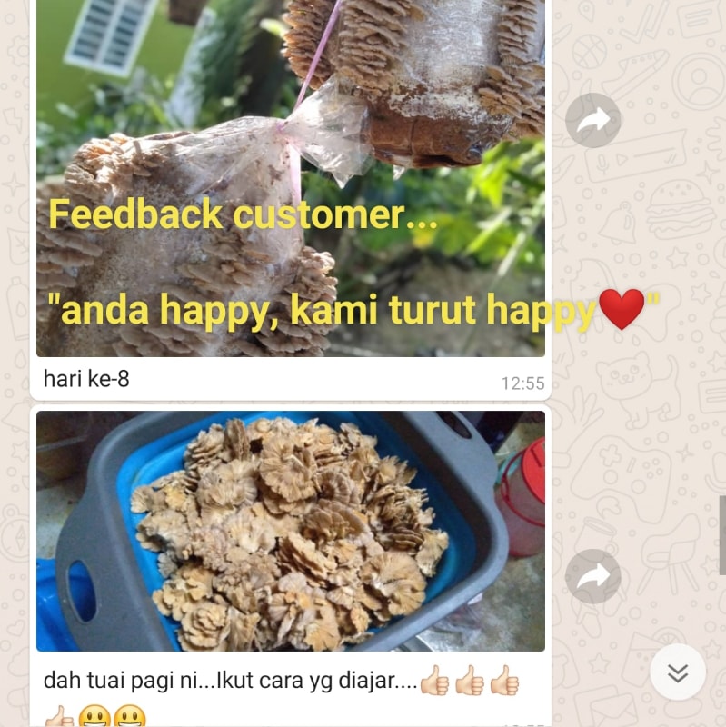 Kukur Malaya Online Shop Shopee Malaysia