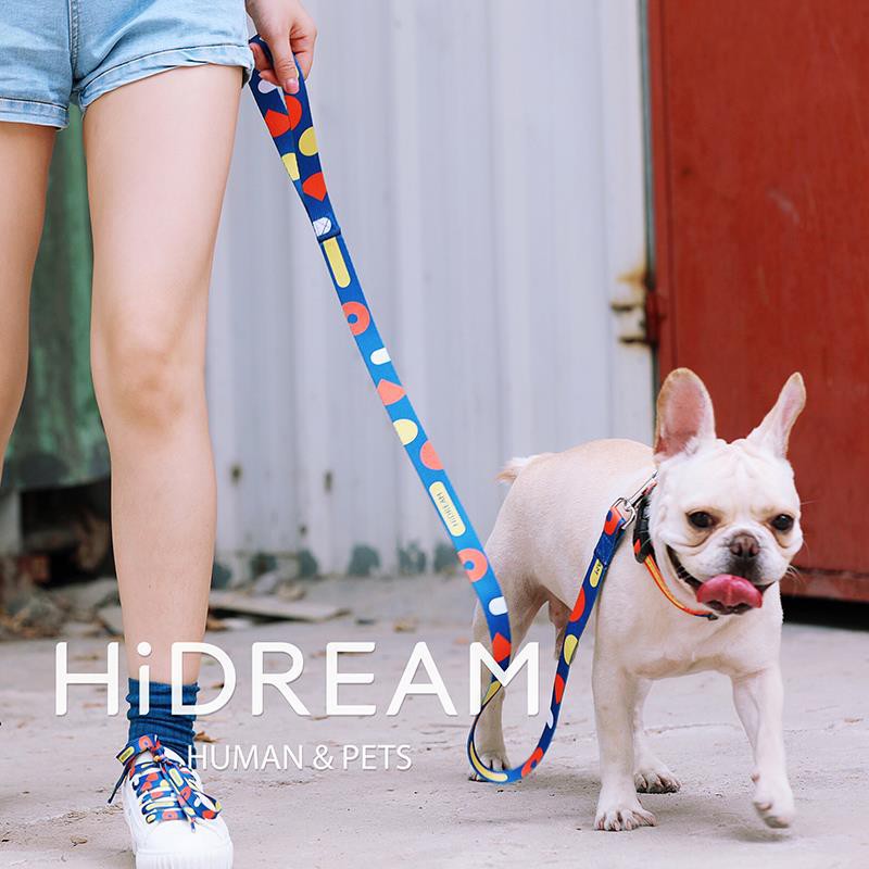 chain leash for small dog