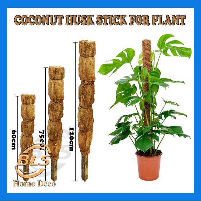 COCONUT HUSK STICK FOR PLANT SUPPORT POLE INDOOR OUTDOOR GARDENING
