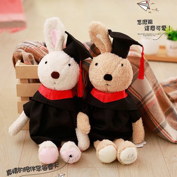 graduation plush toys