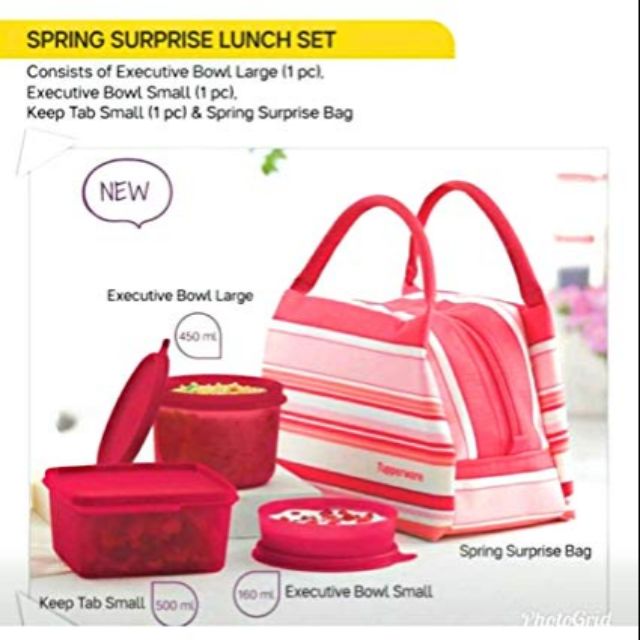 🎉CLEARSTOCK🎉Spring Surprise Lunch Set