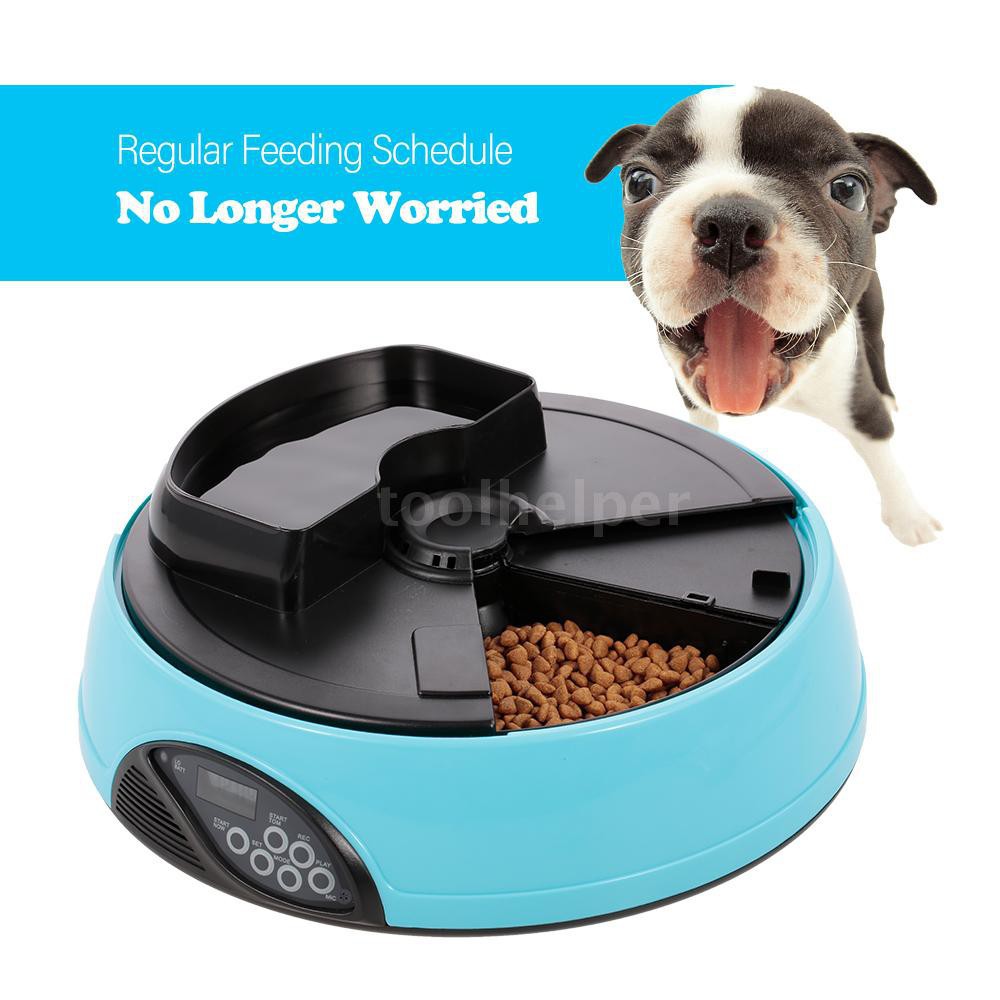Automatic Pet Feeder Timer Dog Food Dispenser Water Food Bowl For
