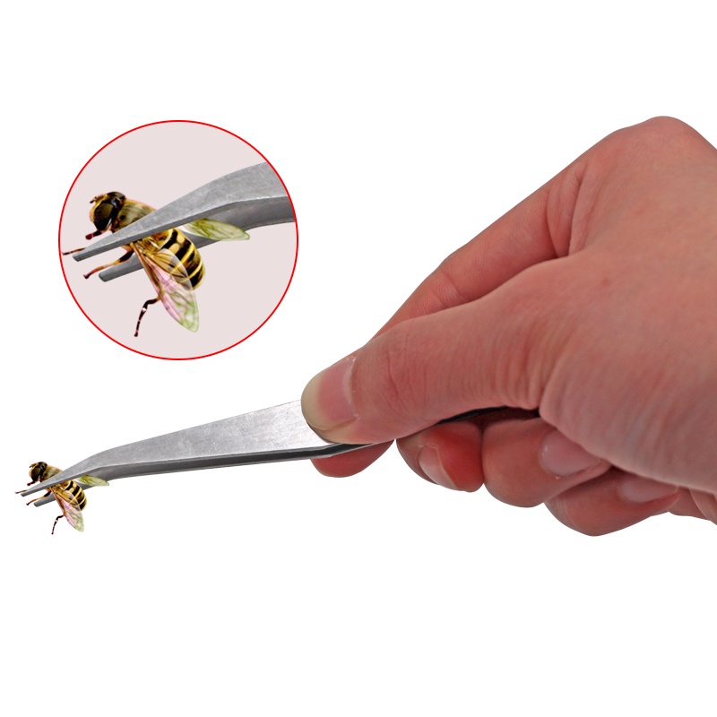 【Ready stock】Beekeeping Tweezer Bee Hive Trap Bee Forceps Bee Larvae Pupae Transfer Special Tweezers For Bees Beekeeping Supplies