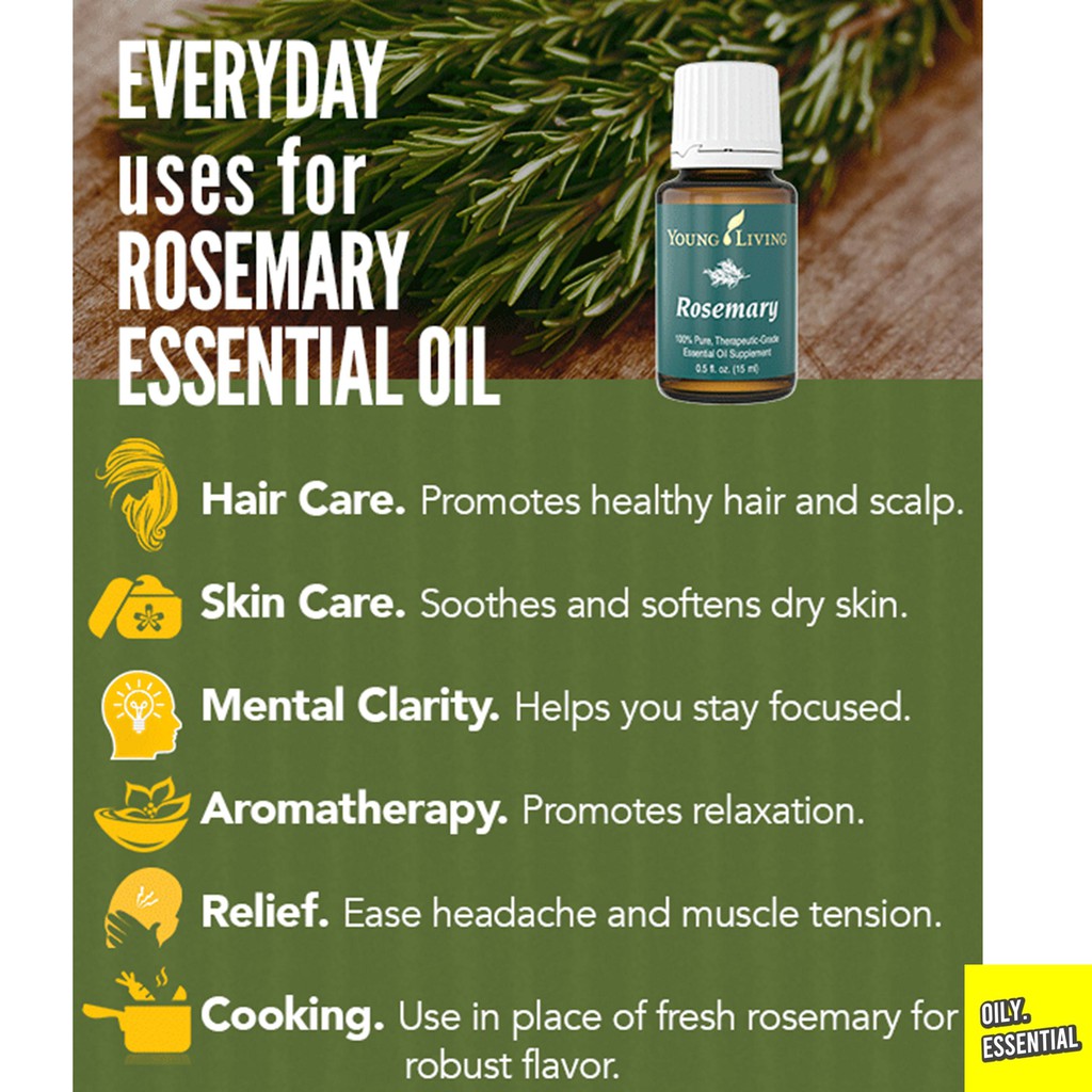 Rosemary Essential Oil 15ml 100 Original Yl Yleo Rose Mary Bunga Rosmari 迷迭香 Shopee Malaysia