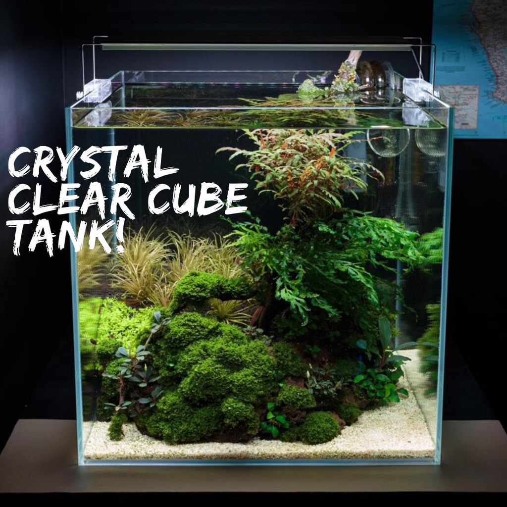 AQUARIUM Crystal Clear Cube Tank 5mm / 6mm Thickness 15CM/20CM/25CM ...