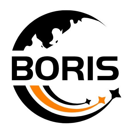 Boris.my store logo