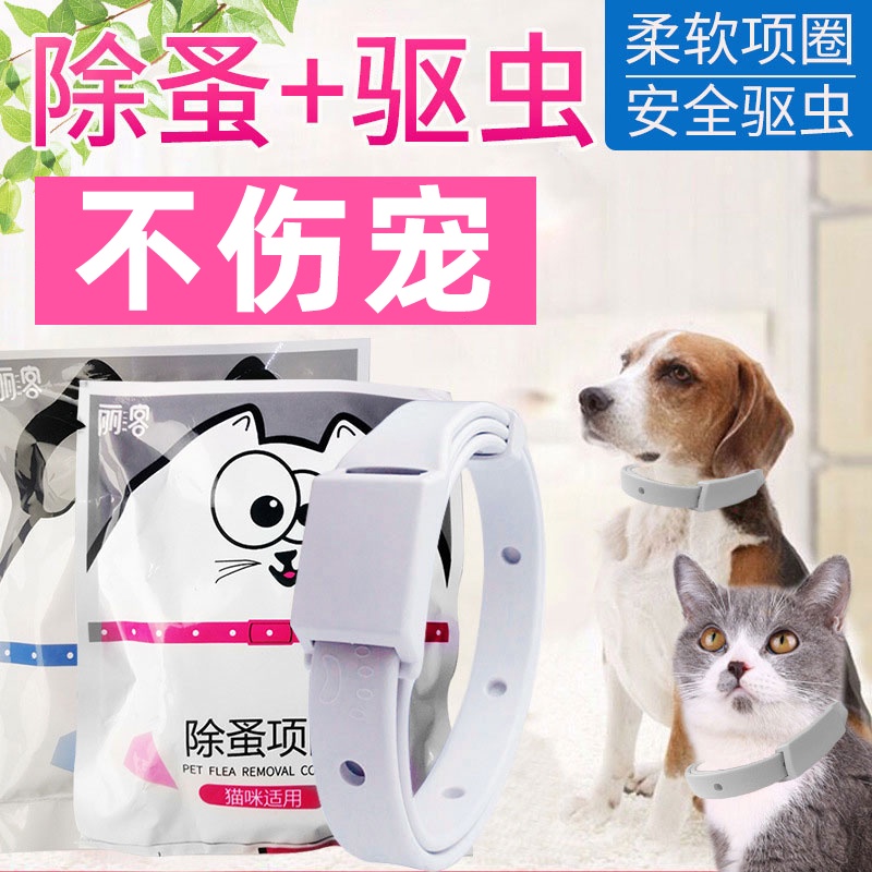 Dog Flea Collar On Cat atelieryuwa.ciao.jp