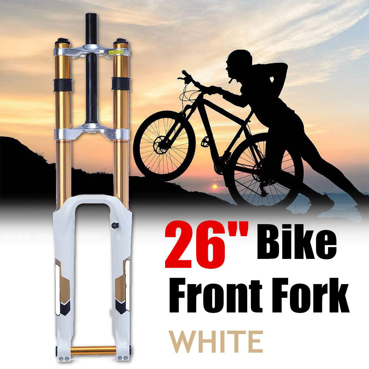 zoom front fork