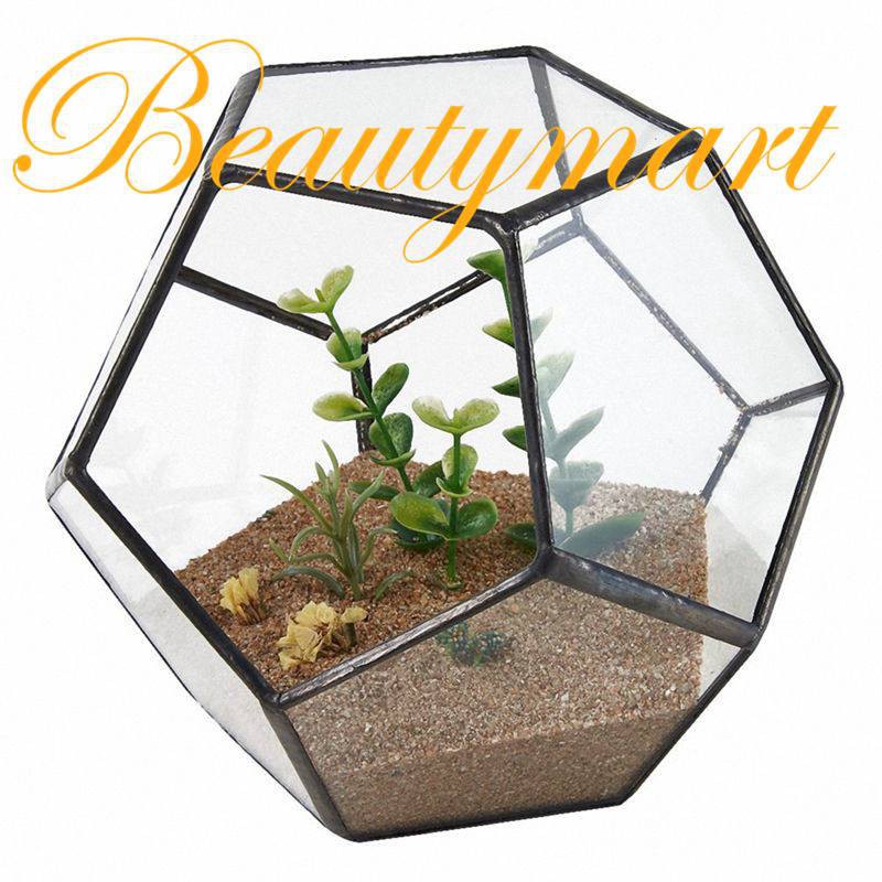 Pentagon Geometric Terrarium Container Window Sill Decor Flower