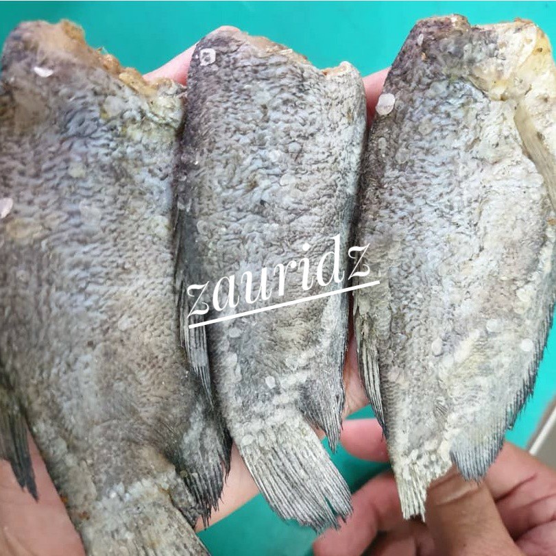 Buy Ikan Sepat Masin Segar Seetracker Malaysia