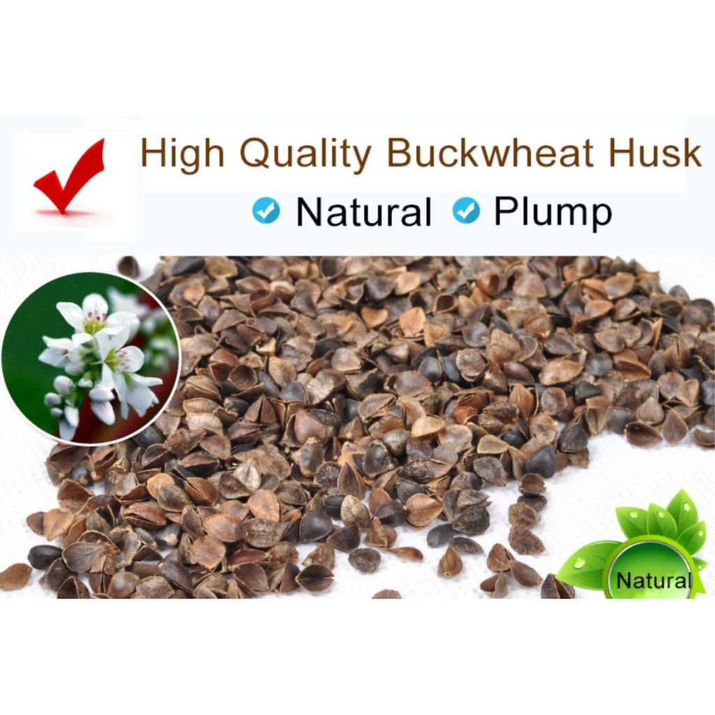 BUckwheat Hull Filling 100gm Shopee Malaysia