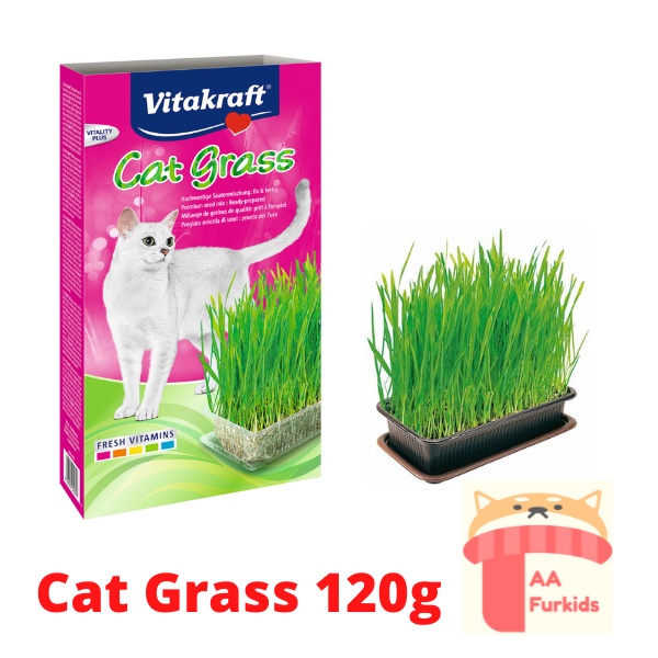 Vitakraft Cat Grass / Rumput Kucing 120g