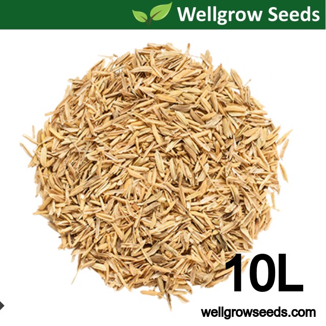 10L Rice Husk Raw / Sekam Padi (Approx 800gm) Paddy Husk (稻壳)