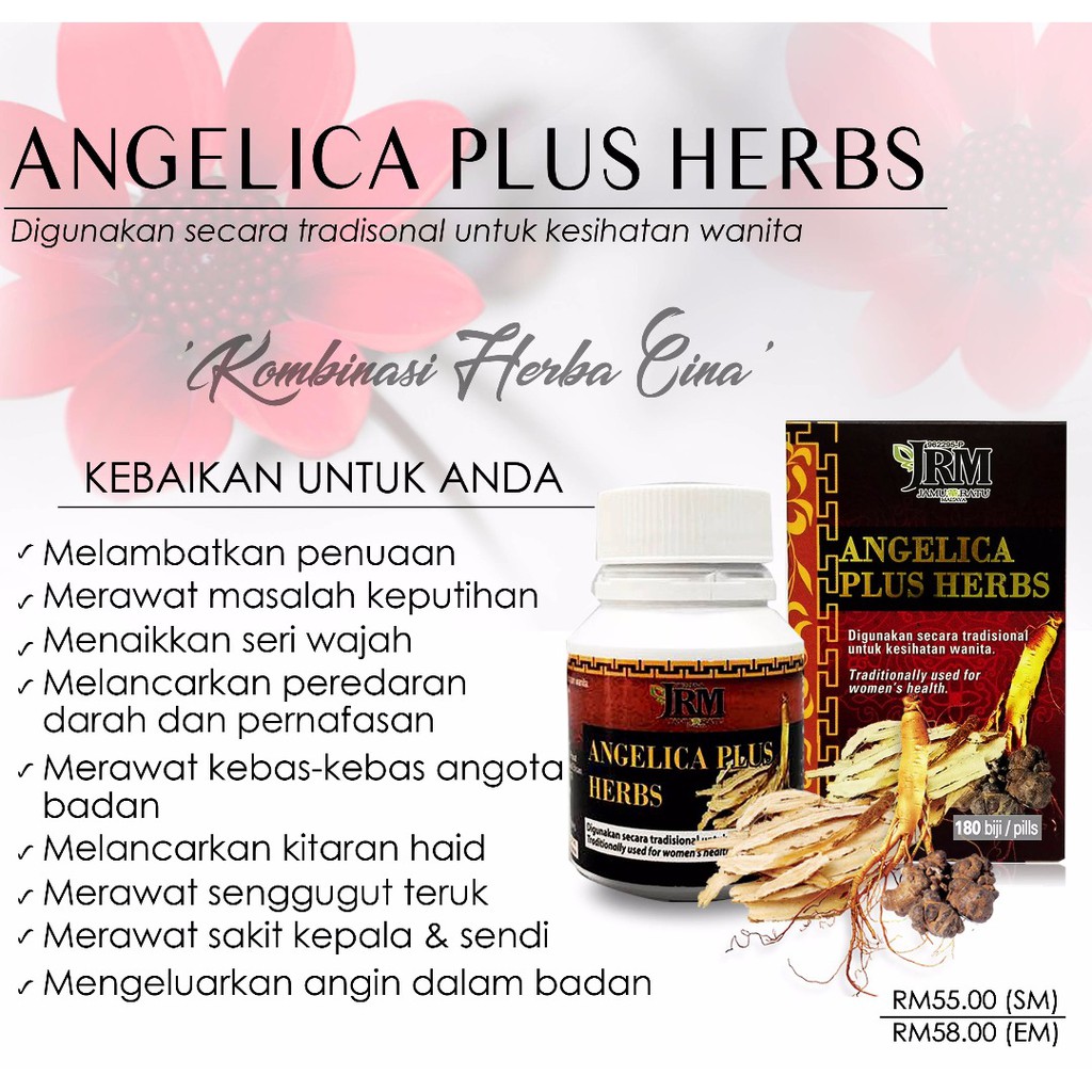 Angelica Plus Herbs Jamu Ratu Malaya | Shopee Malaysia