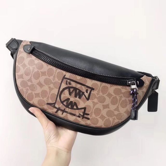 coach pouch bag