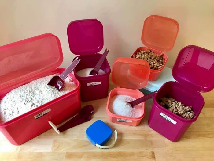 Tupperware Handy Signature Line Rectangular 980 ml Food container/ Multipurpose Storage Box