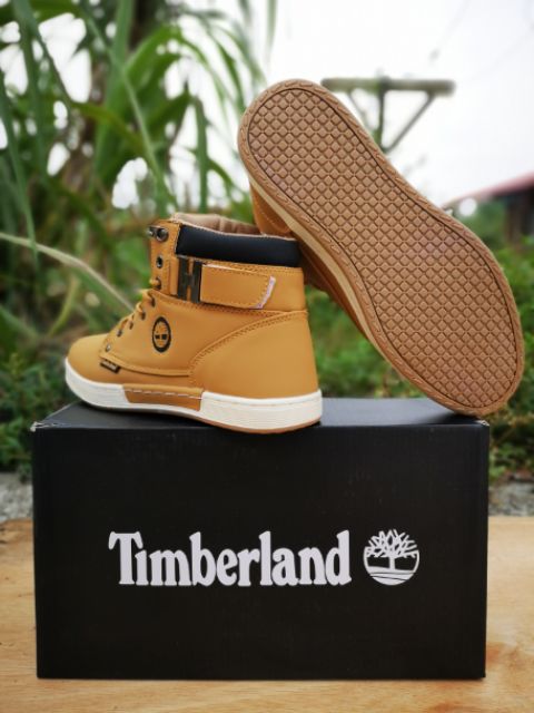 luna's house timberland