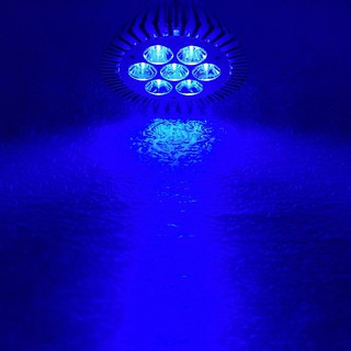 10pc ~1000pcs 3W 45mil Royal Blue 450nm~455nm LED Lamp Beads Light Bulb Aquarium 