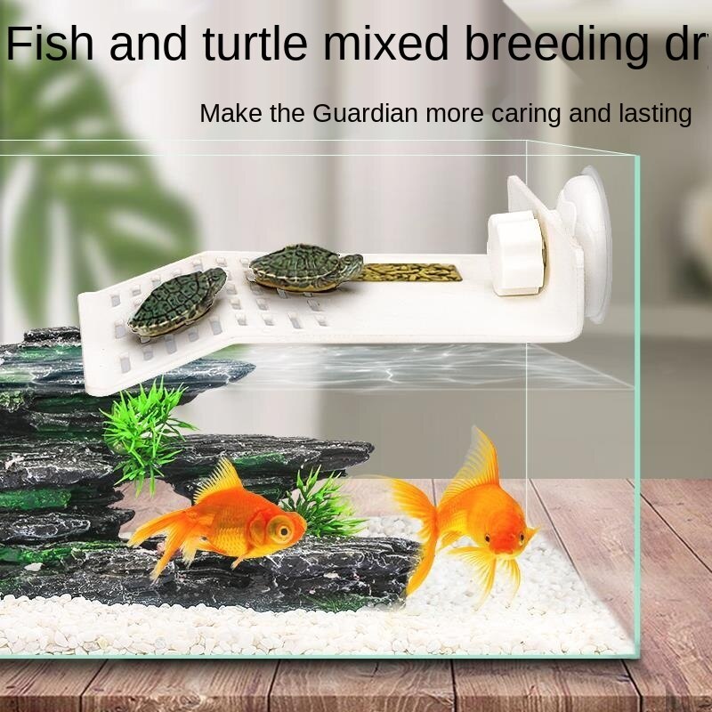 Kura Kura Points Memanjat Paras Air Tinggi Terapung Pulau Akuarium Vila Besar Landskap Terapung Mendaki Bukit Penyu Shopee Malaysia