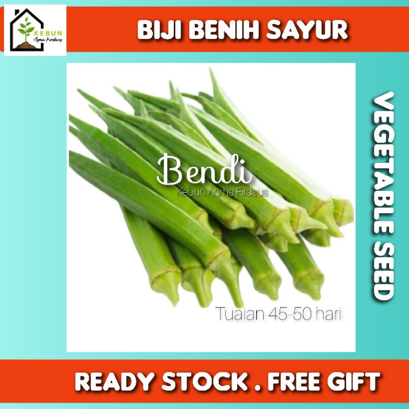 Biji Benih Kacang Bendi 21 Biji Shopee Malaysia