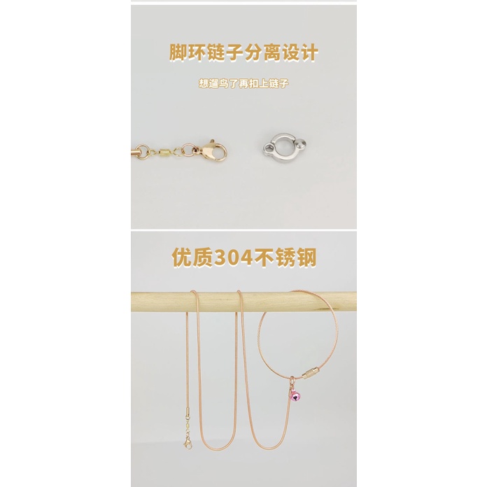 Essential Versatile Stainless Steel Parrot Foot Ring Tiger Skin Peony Xuanfeng Stand Bird Chain Use Anklet Flying Rop... - Image 4