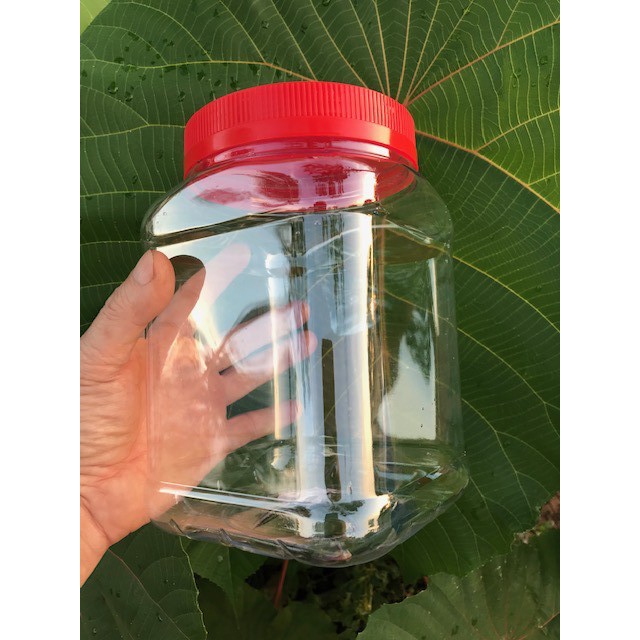 Balang plastik Betta / SU tank / plastic jar container 2.5L 8”x5”x5