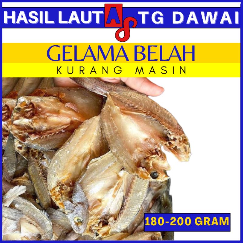 Ikan Gelama Belah Kurang Masin Tanjung Dawai 180 200g Shopee Malaysia