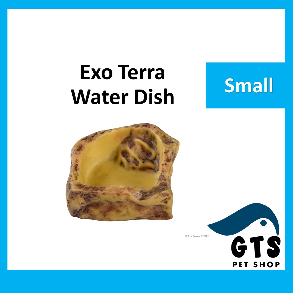 NEW EXO-TERRA CORNER WATER DISHES | atelier-yuwa.ciao.jp