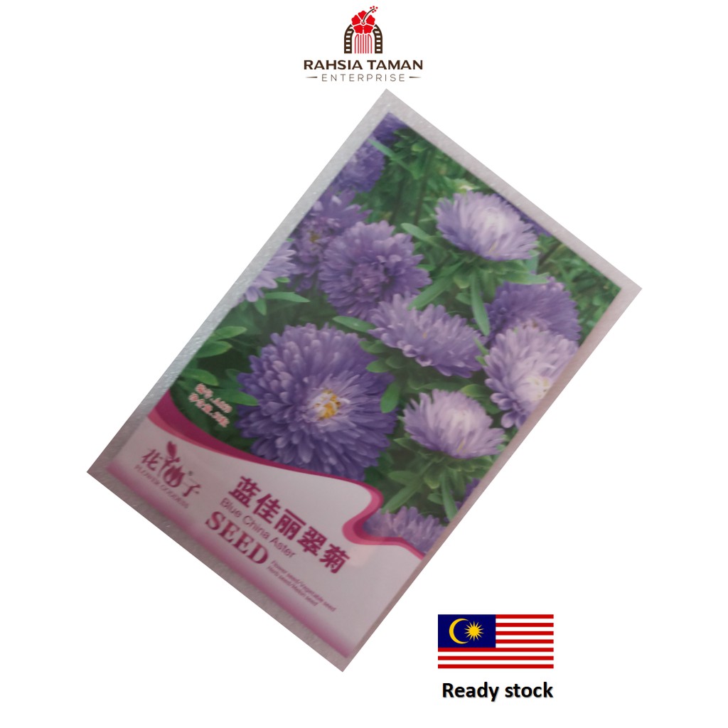 Blue China Aster Seed Shopee Malaysia