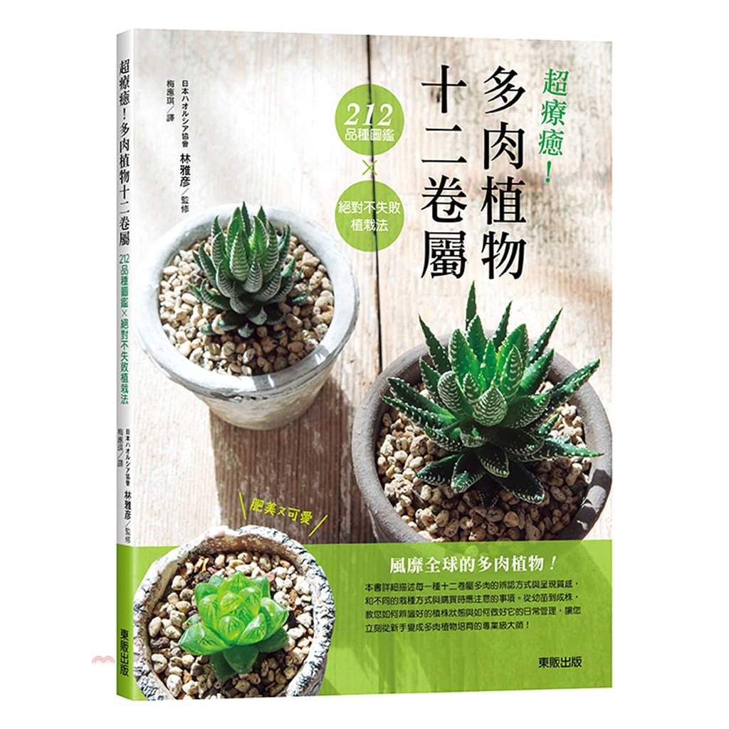 Hyperthermia Healing Succulent Plant December 212 Variety Guide X Absolute Shopee Malaysia