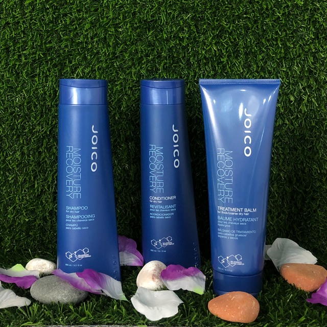 Joico Moisture Recovery Shopee Malaysia